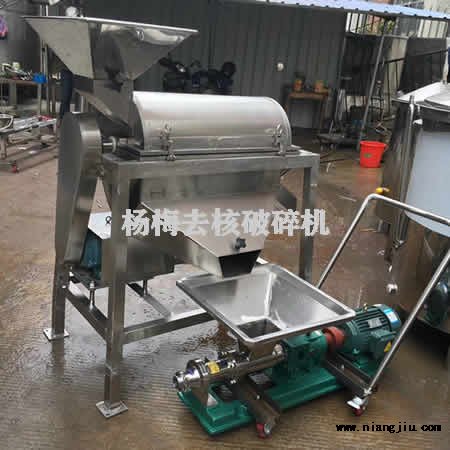 杨梅去核机 杨梅去核破碎机 小型杨梅破碎机器