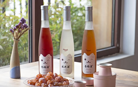 桑椹酒生产线，桑椹酒设备